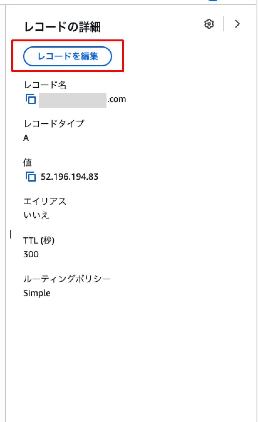 Aレコード詳細